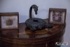 1654IMG_8044