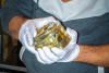 1041242079437_3765178326915239_6894000151260803654_n_wynik