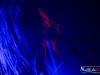 1912img_5708_11_24_2015