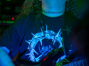 2136img_5767