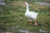 2053IMG_9029