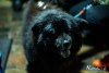 2016IMG_6649