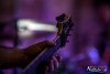 2113IMG_6785