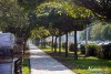 1159IMG_8427