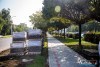 1159IMG_8434