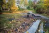 1133IMG_3739