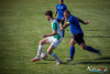 1559IMG_7102_wynik
