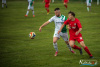 1542IMG_3960_wynik