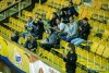 1250IMG_5553