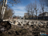 1311img_3722_wynik