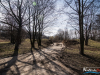 1326img_3771_wynik