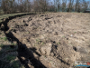 1329img_3797_wynik