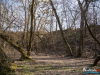 1339img_3854_wynik
