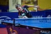 1739IMG_3551