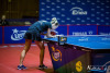 1538IMG_8261