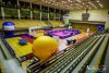 1748IMG_5305