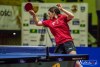 2048IMG_6639