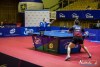 1743IMG_4917