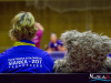 1719img_4386_11_27_2016
