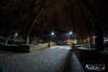 1648IMG_5886