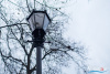 1448IMG_5381_wynik
