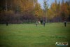1225IMG_2471