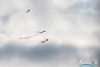 1226IMG_2487