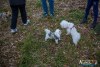 1237IMG_2537