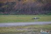 1300IMG_2632