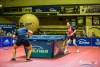 1954IMG_8574