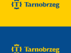1_TBG_logo
