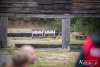1409IMG_1256_wynik