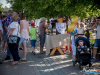 1706_img_9164_wynik