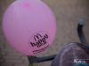 1751img_4108_05_03_2017