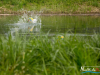 1552img_9467_04_23_2016