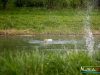 1552img_9468_04_23_2016