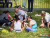1136img_0729