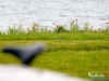 maraton0198