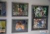 1453IMG_8473