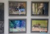 1453IMG_8474