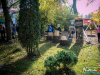 1236img_0488_wynik