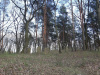 94093349_4334916839867680_4123231611330232320_o_wynik