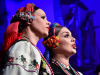 170129_koncert_mazowsze_sok_07