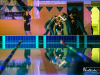 2132img_8972