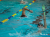 2151img_7353
