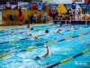2230_img_7917_wynik