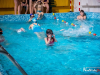 2232_img_7937_wynik
