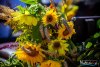 HMIMG_4119