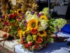 HMIMG_4090