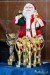 1111IMG_6065